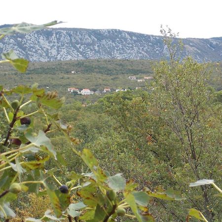 Apartments Rogic Ядраново Екстериор снимка